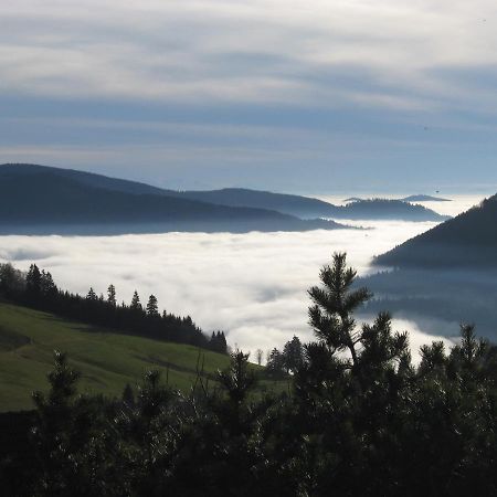 Schoene Aussicht ทอดท์เนา ภายนอก รูปภาพ