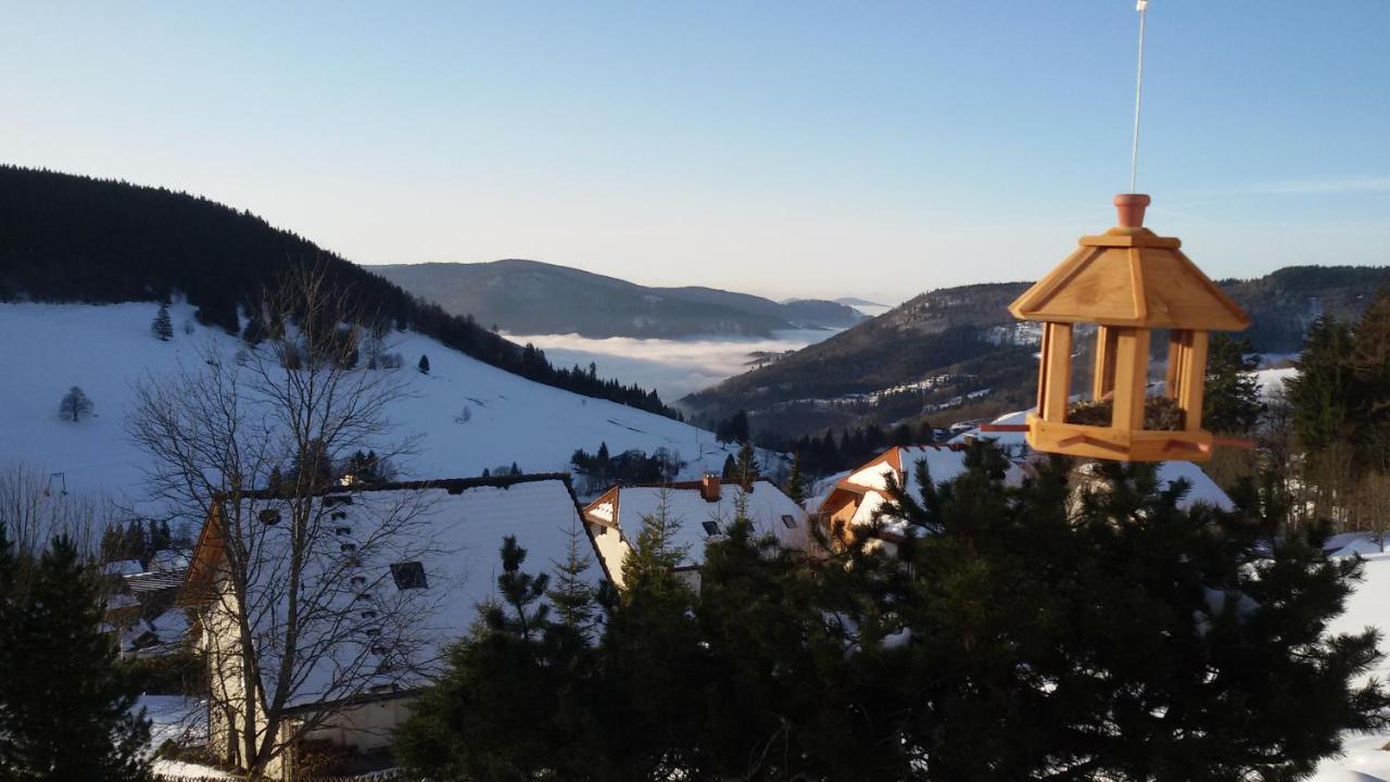 Schoene Aussicht ทอดท์เนา ภายนอก รูปภาพ