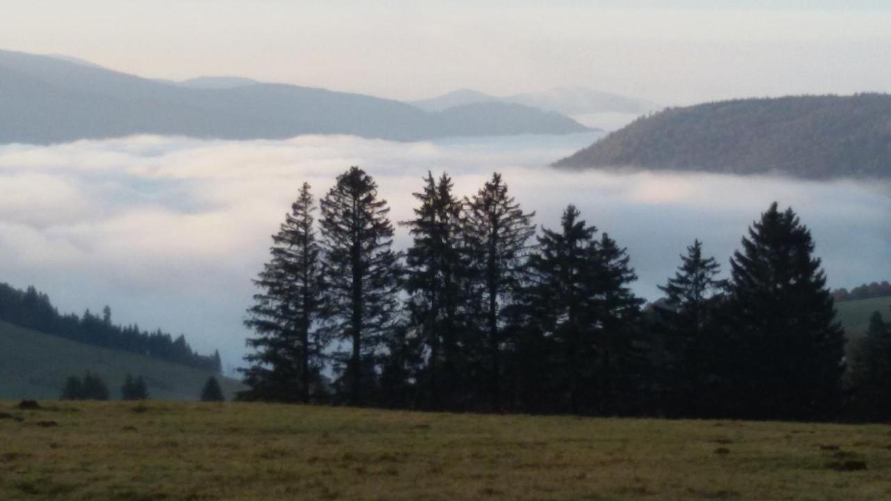 Schoene Aussicht ทอดท์เนา ภายนอก รูปภาพ