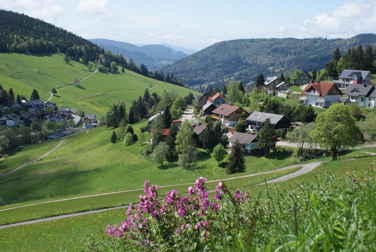 Schoene Aussicht ทอดท์เนา ภายนอก รูปภาพ