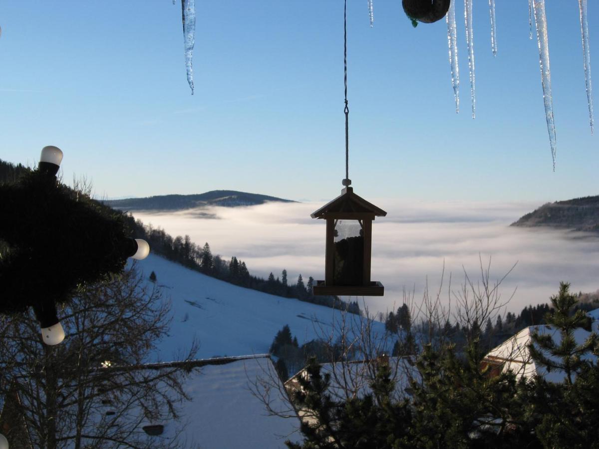 Schoene Aussicht ทอดท์เนา ภายนอก รูปภาพ