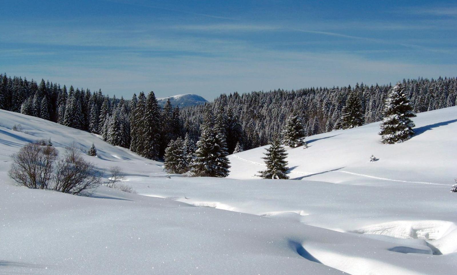 Schoene Aussicht ทอดท์เนา ภายนอก รูปภาพ